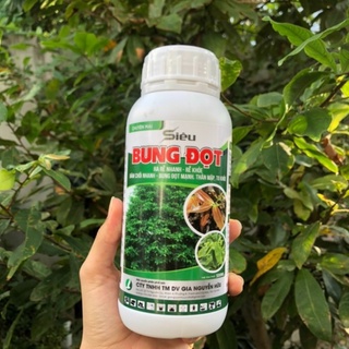 SIÊU BUNG ĐỌT, RA RỄ MAI VÀNG 500ML