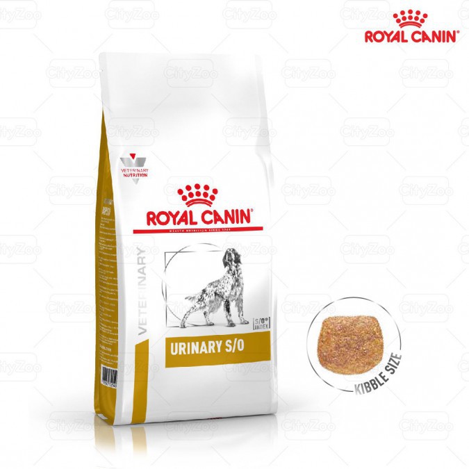 Thức ăn hạt Royal Canin Urinary S/O Canine gói 2kg(sỏi thận ở chó)