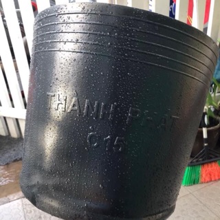 50 Chậu nhựa dẻo size C8 màu đen trồng cây