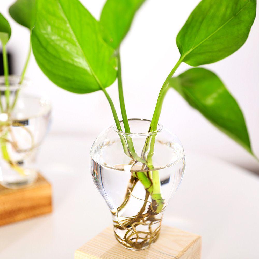 ZAIJIE24 Chậu Hoa Thủy Canh Trong Suốt Khung Gỗ Dùng Trang Trí Nhà Cửa