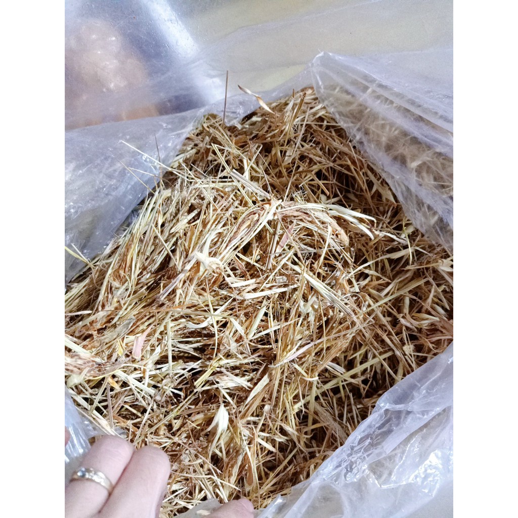 Thảo dược LÁ SẢ khô sạch đóng gói 50gram
