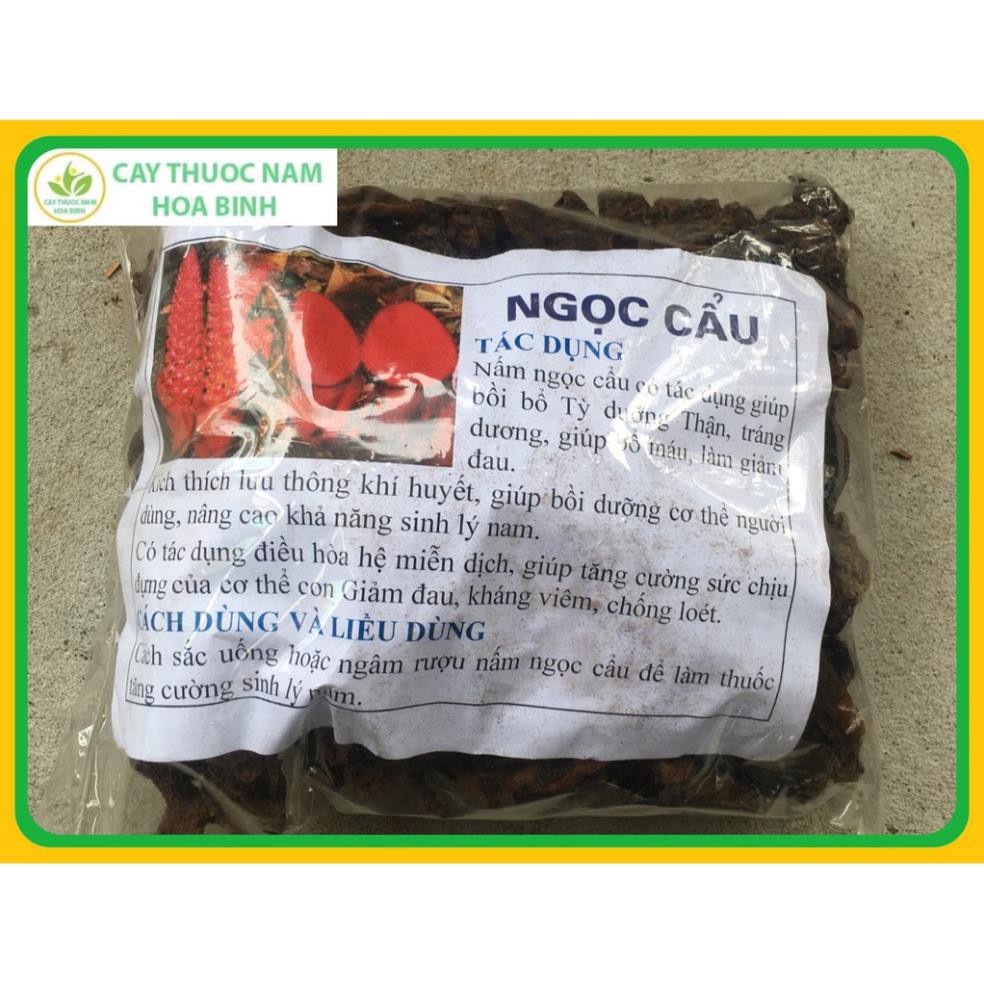 1kg Nấm ngọc cẩu rừng Hòa Bình nguyên búp (Ngọc tỏa dương) cam kết khô, nguyên chất