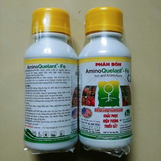 Amino Fe (sắt) làm xanh lá, đẹp hoa 100ml
