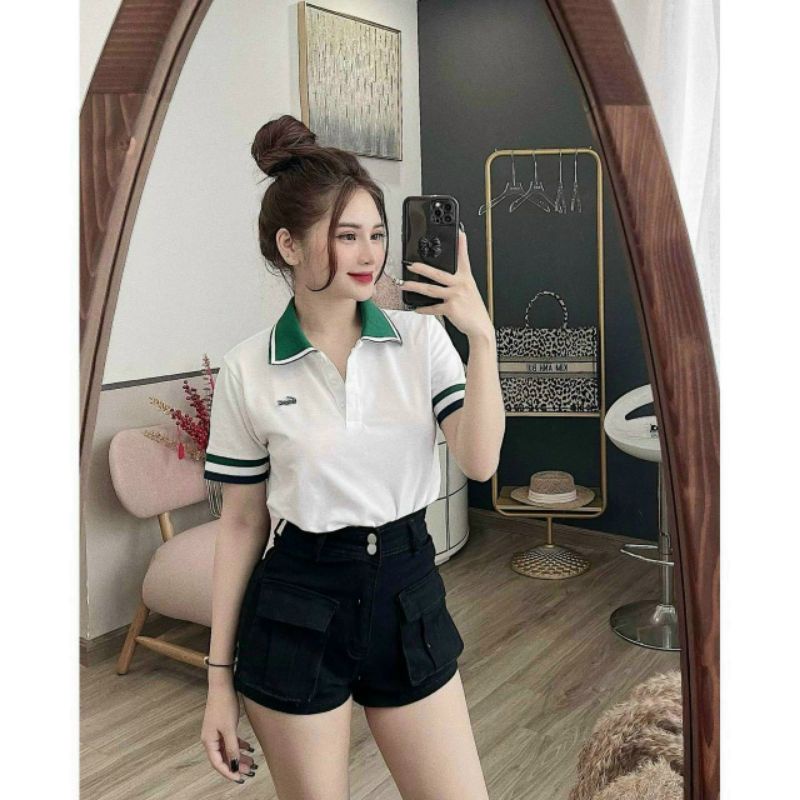 Áo Polo Nữ Ms.1220 Áo Polo Chất Thun Gai Thoáng Mát In Và Thêu Họa Tiết Nổi, Dáng Suông Cổ Đức
