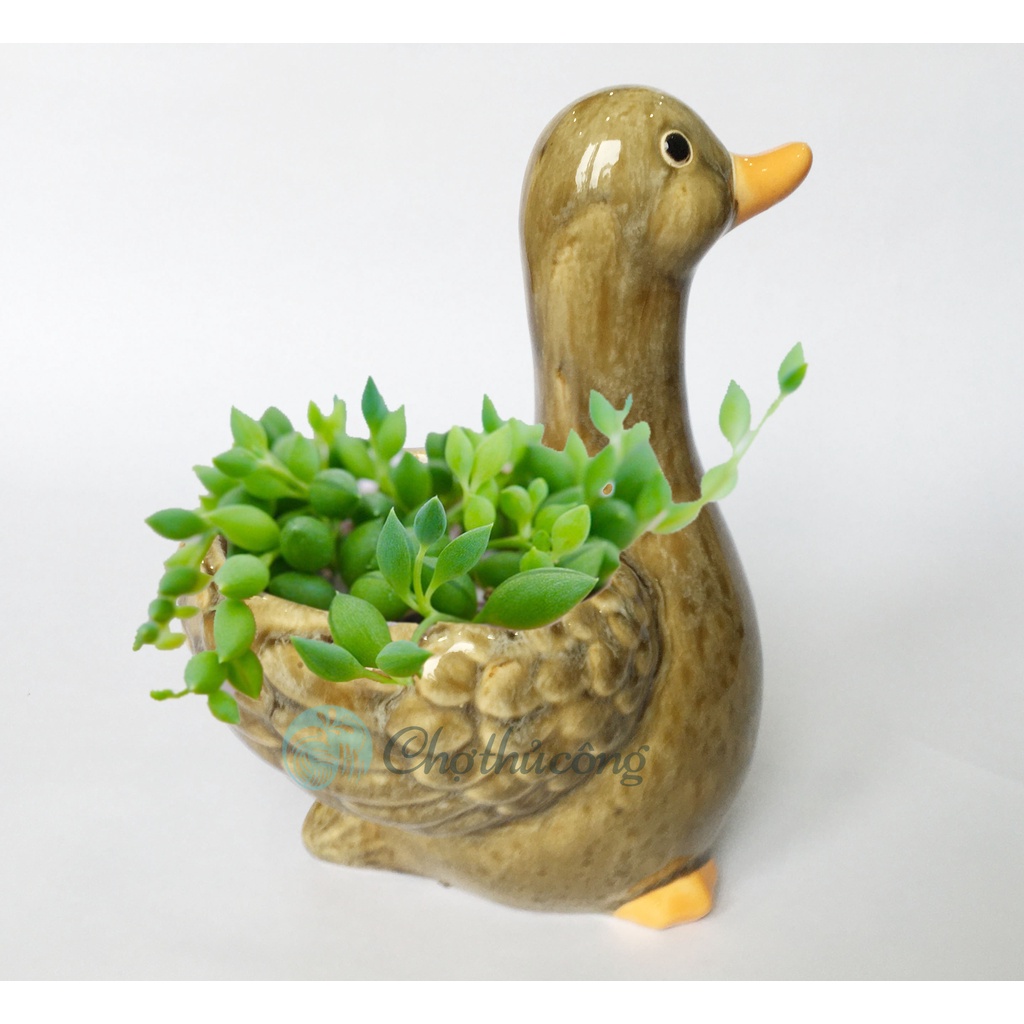 Vịt gốm tráng men - Tượng gốm xinh xắn có lỗ dùng trồng cây, trang trí, decor sân vườn