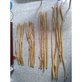 Cành cây khô gỗ tràm làm Macrame