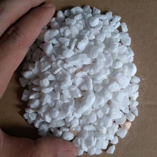 Sỏi trắng-đá trắng-sỏi trắng nhỏ(bịch 1kg- kích thước từ 1-2cm)