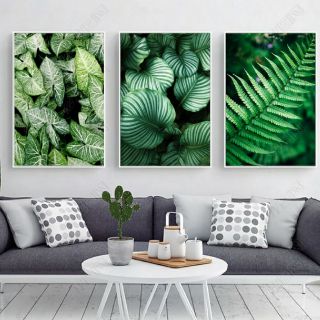 Bộ 3 tranh treo tường Lá cây nhiệt đới HD-CB3-15 KT 30 x 45 cm