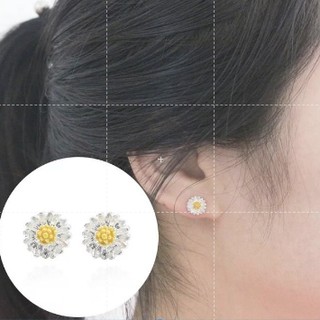 Bông tai mạ bạc hoa cúc dại