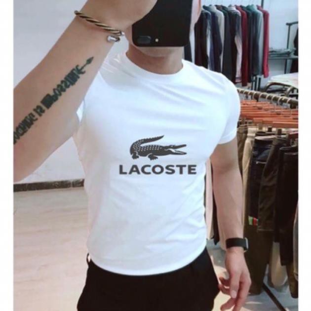 (GIÁ TỐT) [ÁO THUN IN ĐỒNG GIÁ 55K TOÀN SHOP] - [GIẢM SẬP SÀN] [FLASH SALE] Áo thun cá sấu Lacoste hàng hiệu 2020