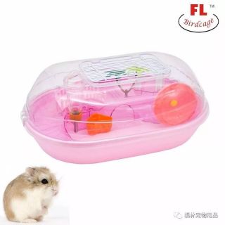 Lồng hamster biển Hawaii tươi mát