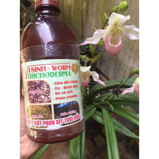 Chế phẩm Sinh học TRICHODERMA (Nấm Đối Kháng)- Dạng nước lọ 500ml
