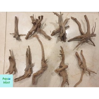 Lũa Bé Trang Trí Bể Cá - Bể Thủy Sinh