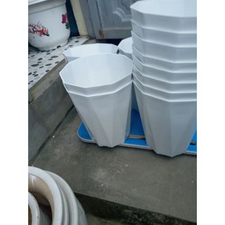 (SIÊU RẺ) CHẬU NHỰA KIM CƯƠNG PHI 22CM X24CM