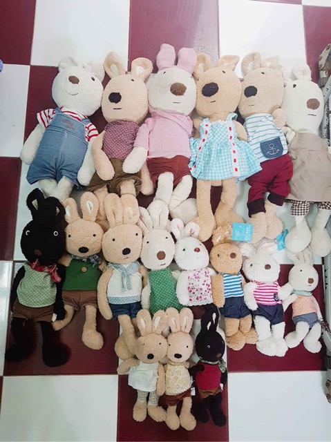 Gấu si. Thỏ quý tộc