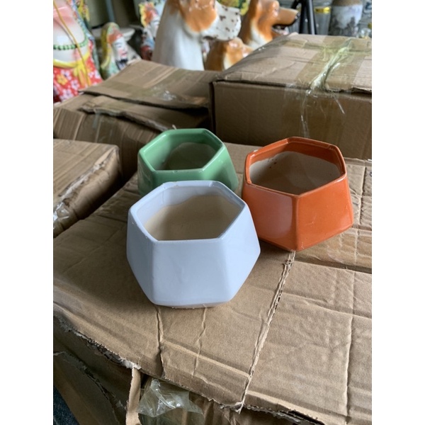chậu mini nhỏ xinh chồng cây sen đá xương rồng hoa các loại
