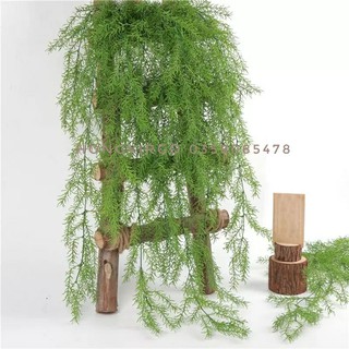 Cụm rong rủ kim dài 130cm siêu đẹp