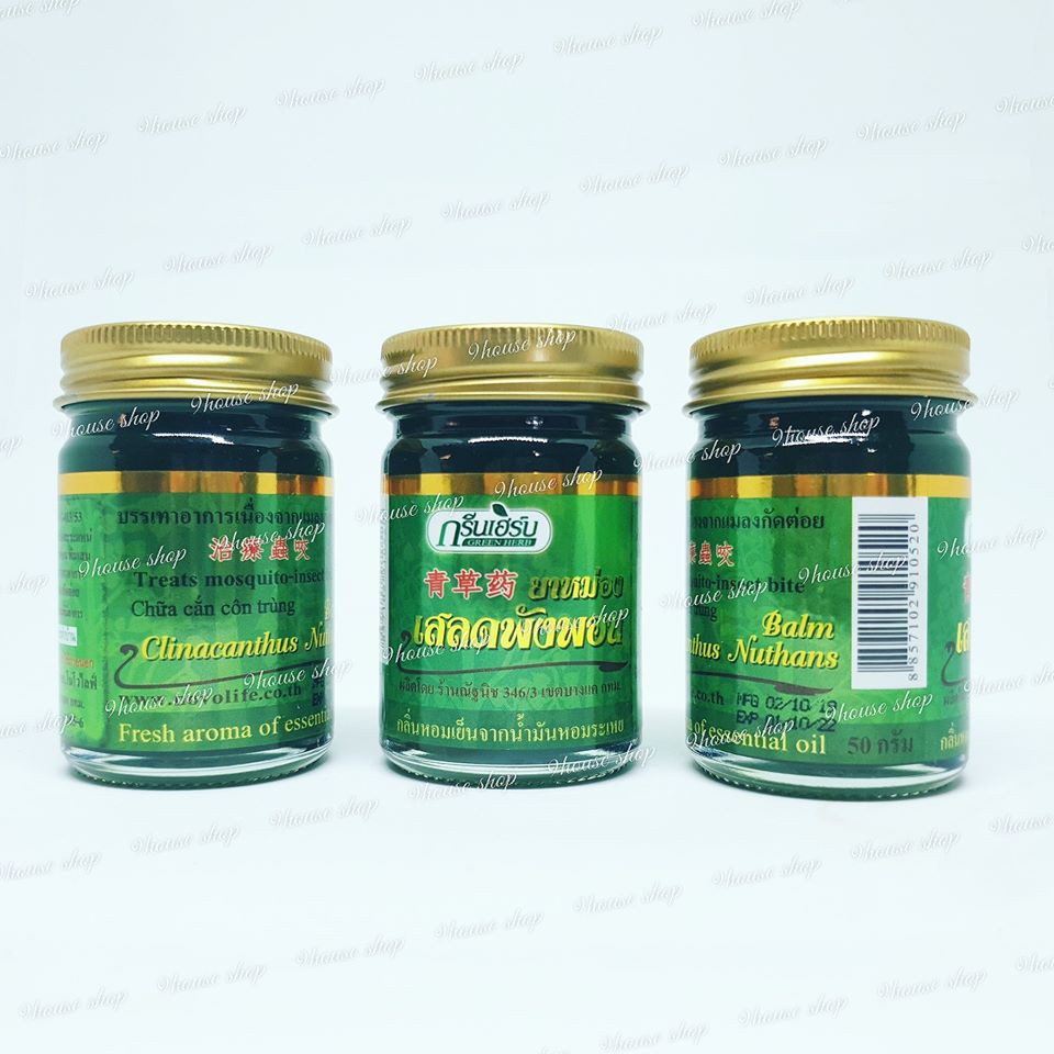 01 Hủ Dầu Cù Là Thơm Clinacanthus Nuthans Thái Lan