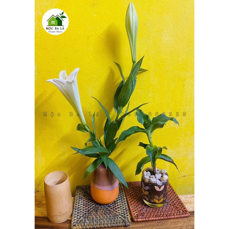 LỌ HOA MINI - MEN HỎA BIẾN - DECOR TRANG TRÍ ĐỂ BÀN - GỐM BÁT TRÀNG - MẪU SỐ 3