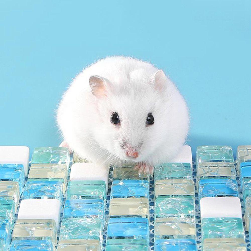 Thảm Lót Làm Mát Cho Chuột Hamster