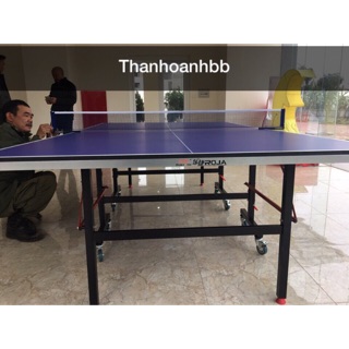 Bàn bóng bàn Doublefish 201V