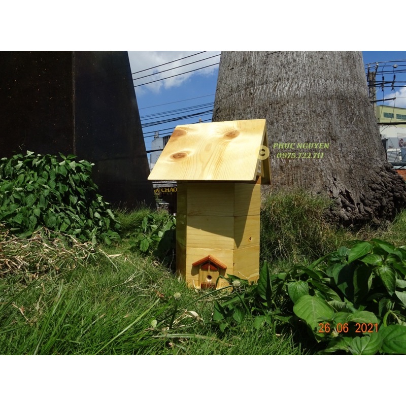 🏕 thùng nuôi ong dú mẩu mới - stingless bee box