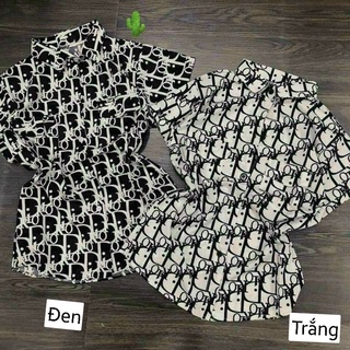 Áo sơ mi tay ngắn dior kate lụa mặc mát