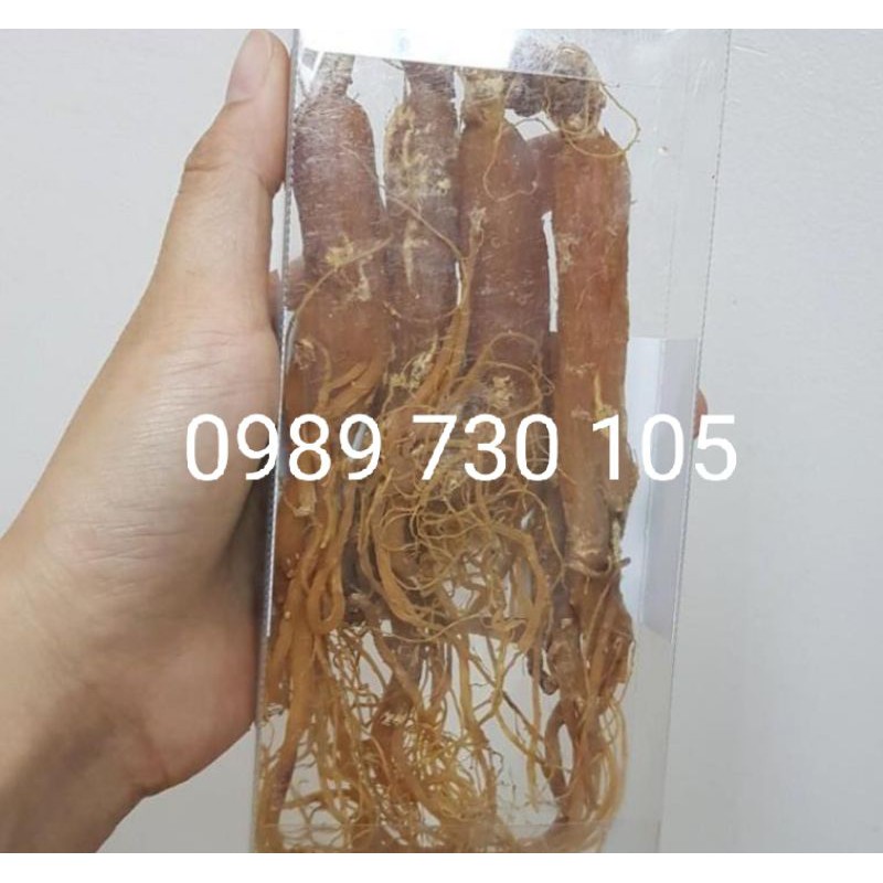 HỒNG SÂM KHÔ 100G sâm đủ size thơm ngon
