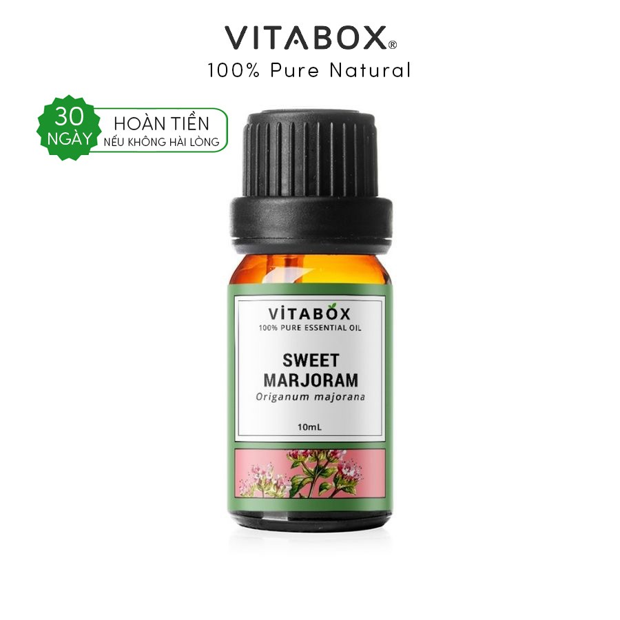 Tinh dầu Kinh Giới Ô Ngọt Sweet Marjoram VITABOX - 100% thiên nhiên nguyên chất - pure essential oil