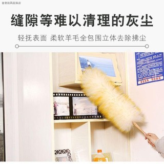 Chổi lông gà phủi bụi