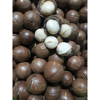 Nhân Macca Sấy - 250g