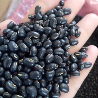 1kg Đỗ Đen đậu đen quê sạch