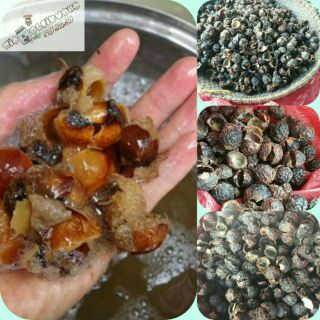 1kg bồ hòn khô tách hạt