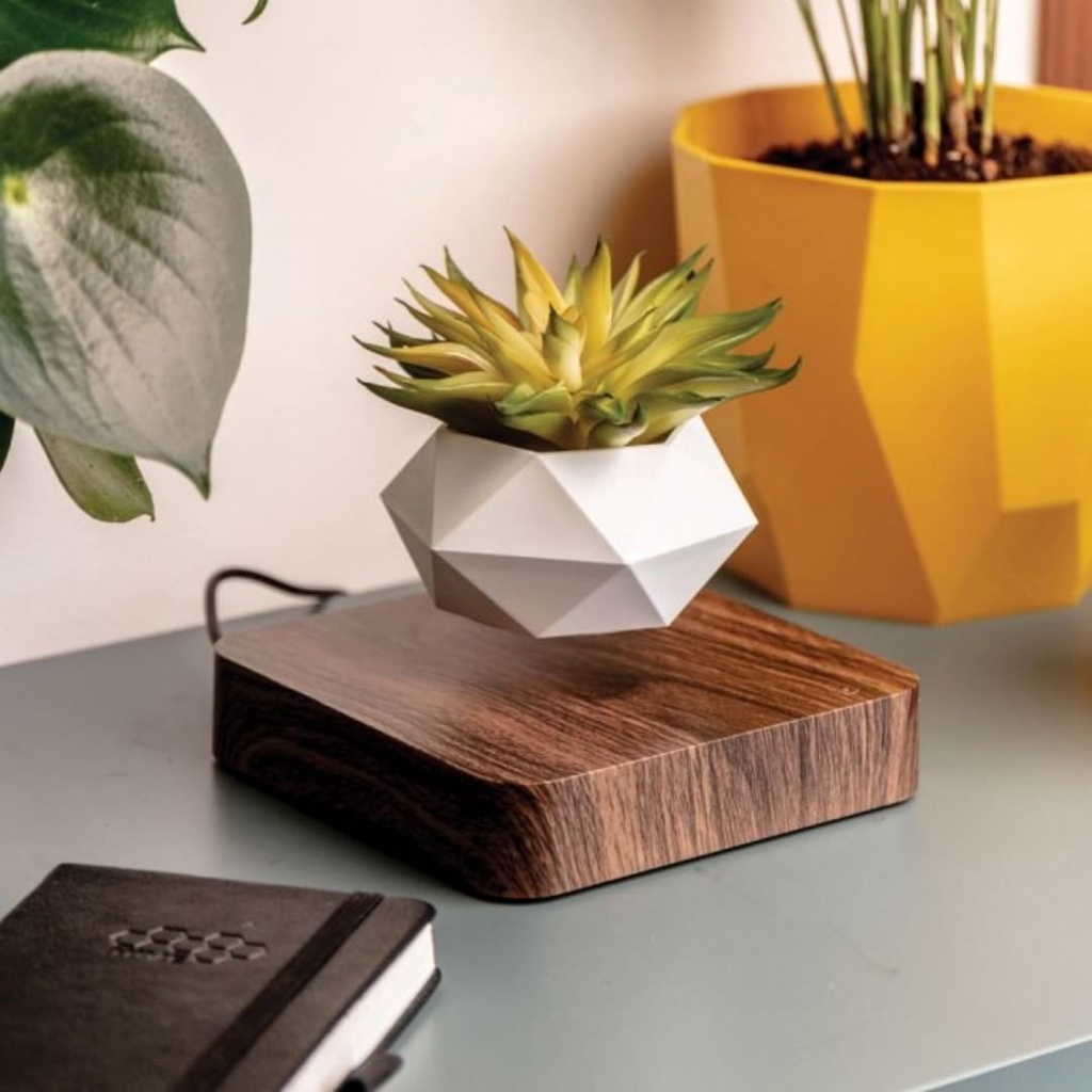 Chậu cây từ Air Bonsai bay lơ lửng nam châm