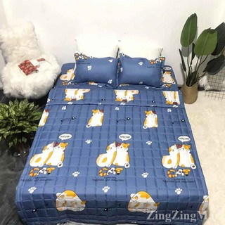 [Hàng Uy Tín] Chăn hè thu trần bông cao cấp Cotton poly (Lựa mẫu nha)