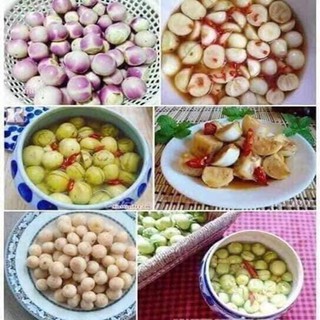 Hộp Muối Dưa Cà Việt Nhật