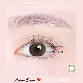 Lens nâu tây vừa ASIAN