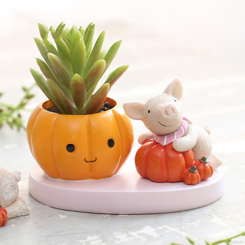Mô hình chậu cây xanh sáng tạo dùng trang trí bàn làm việc