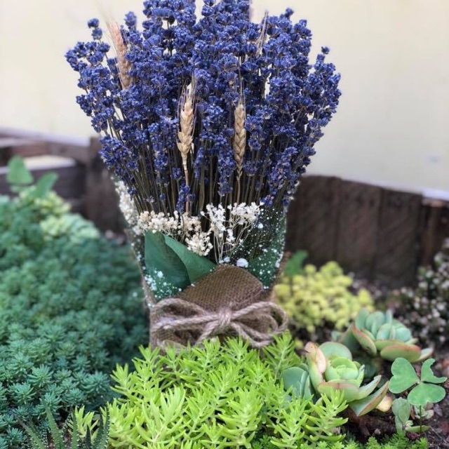 Giỏ hoa lavender