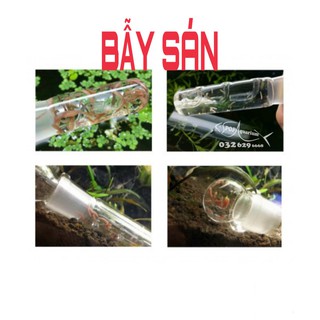 BẪY SÁN, BỌ NƯỚC THỦY TINH CAO CẤP