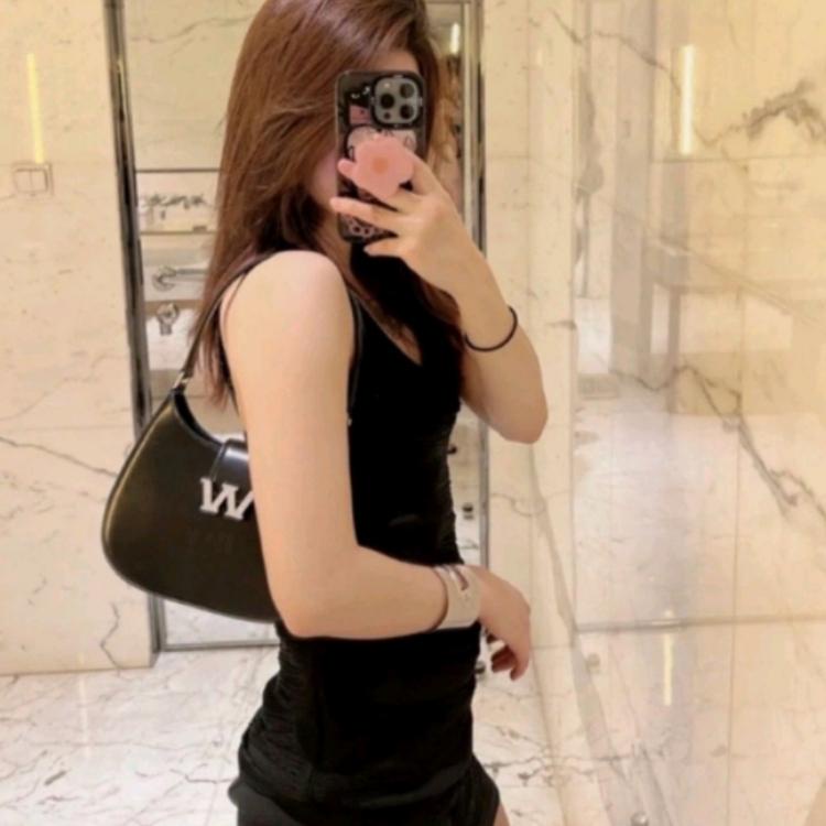 Túi Đeo Chéo Wang Dây Xích Nắp Đá Gài, Túi Xách Kẹp Nách W - T051