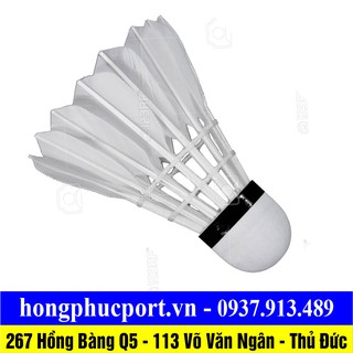 Cầu lông - Quả cầu lông trái cầu lông tập luyện
