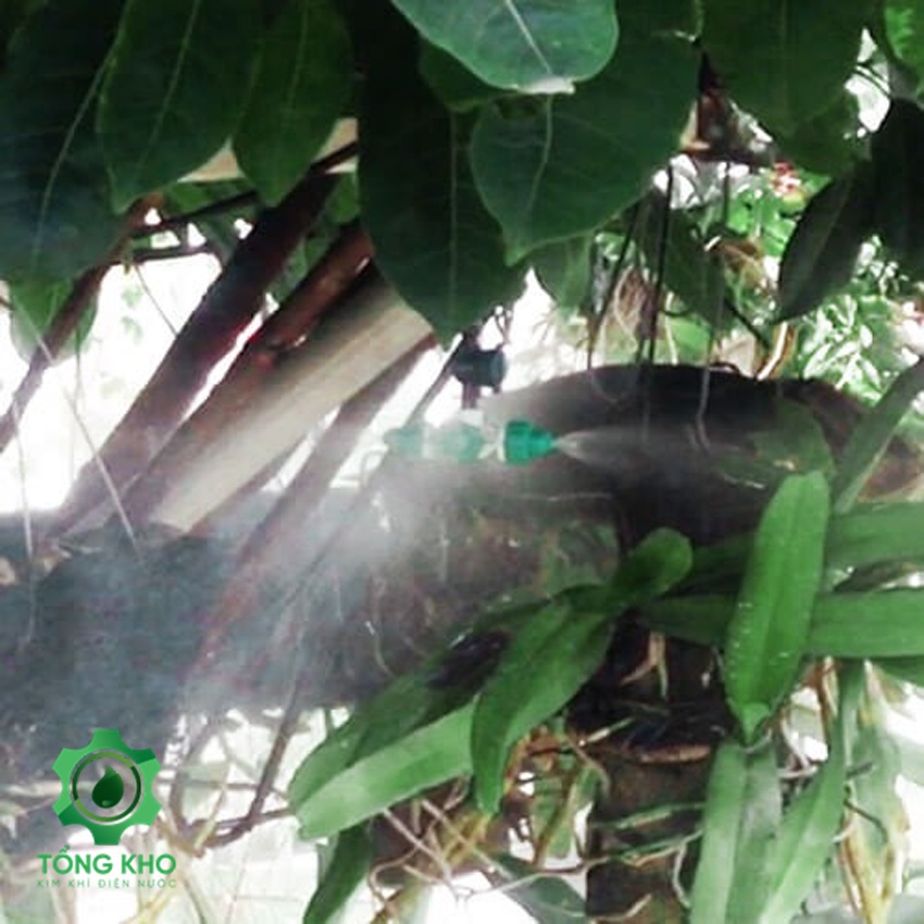 Béc phun sương màu xanh 4 hướng chân ren 21mm - Tổng kho kim khí điện nước