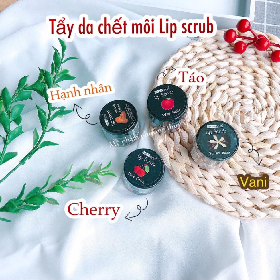 (HÀNG AUTH) TẨY TẾ BÀO CHẾT MÔI LIP SCRUB | BigBuy360 - bigbuy360.vn