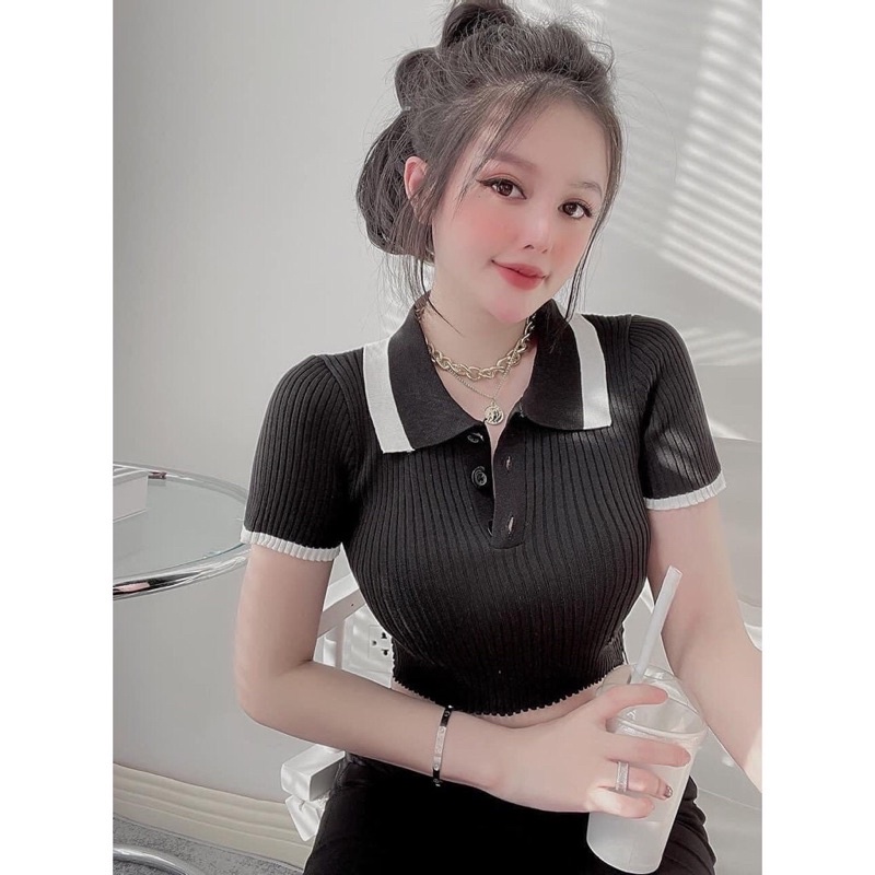 Áo len nữ cộc tay crotop cổ bẻ pha viền hot