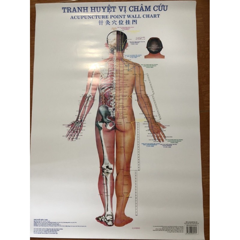 Bộ tranh châm cứu 3 tờ kích thước 50x70cm