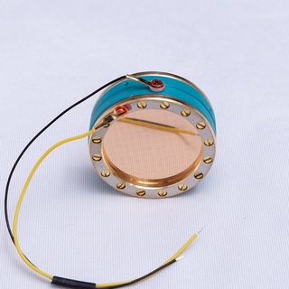 Lõi Thu Âm Thanh Micro Cỡ Lớn 34mm Cho Studio