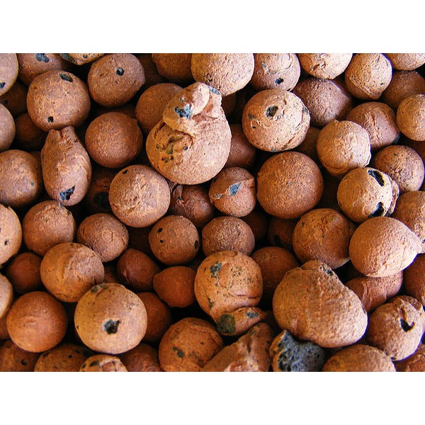 Sỏi nhẹ  trồng cây cỡ số 2 500gr