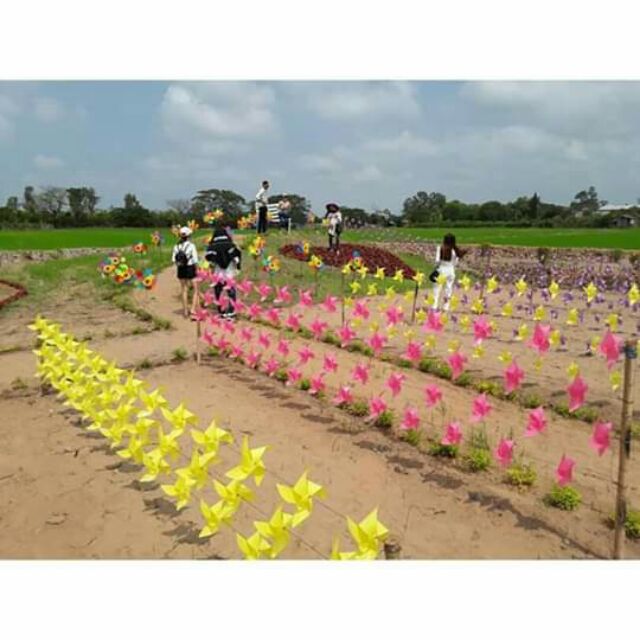 Chong chóng nhựa trang trí 25 cm combo 100 cái