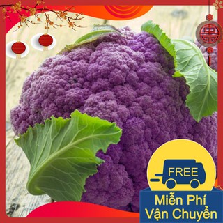 Combo 3 Gói Hạt Giống Súp Lơ Tím